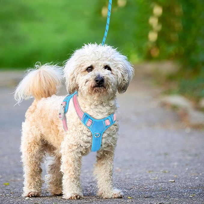 BARKBAY No Pull Dog Harness Large Reflective Dog Harness with Front Clip and Easy Control Handle for Walking Training Running with ID tag Pocket(Baby Blue & Baby Pink,XS)