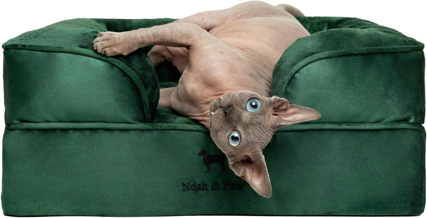 NOAH & PAW Small Dog Bed, 20x15x8 Inch, Cat Bed for Indoor Cats, Orthopedic Eggshell Memory Foam Infused with Cooling Gel, Waterproof Inner Cover Machine Washable (Velvet Collection)