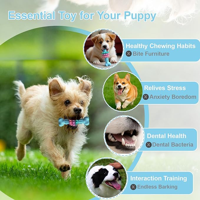 Puppy Chew Toys for Teething, Indestructible Dog Chew Toys for Aggressive Chewers - Small & Medium Breeds, Tough Rubber Bone Puppy Toys to Keep Them Busy & Relieve Anxiety