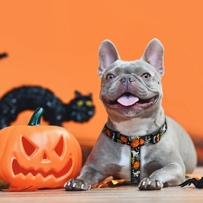 PUPTECK No Pull Dog Harness Soft Adjustable Basic Nylon Step in Puppy Vest Outdoor Walking with ID Tag, Black, M