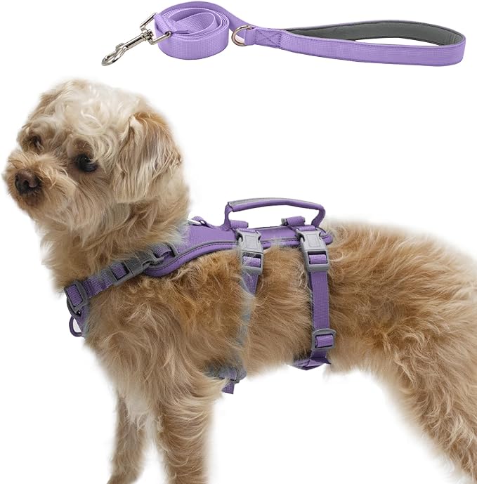 Escape Proof Dog Harness and Leash Set, Lightweight Dog Harness with Lift and Assist Handle, No Pull Reflective Pet Vest for Small Medium Dogs, Ideal for Puppy Walking and Training (Purple,XS)