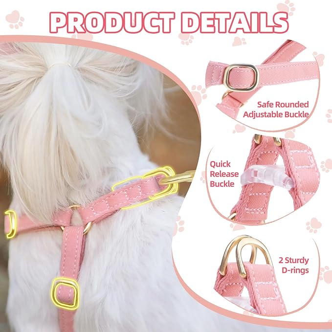 PUPTECK Dog Harness and Leash Set Small Sized, Step-in Cute Puppy Harness, Soft Lightweight Padded Vest, Escape Proof No Pull Pet Harnesses Easy for Walking, Pink, XXS