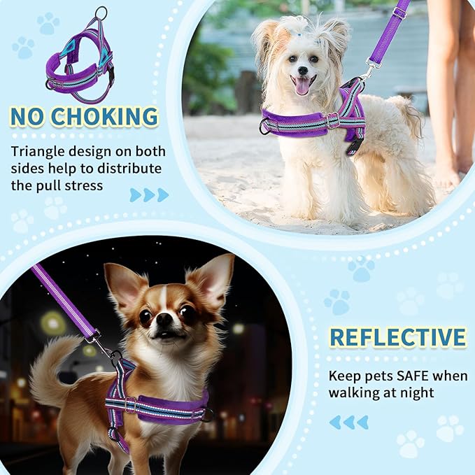 SlowTon No Pull Small Dog Harness and Leash Set, Puppy Soft Vest Harness Neck & Chest Adjustable, Reflective Lightweight Harness & Anti-Twist Pet Lead Combo for Small Medium Dogs (PU-Front Clip, XXS)