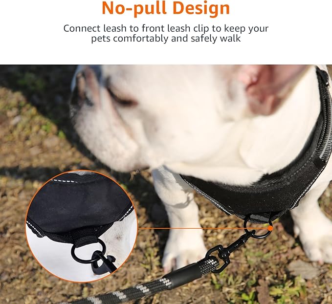 Amazon Basics No-Pull Dog Harness, Adjustable Soft Padded Vest with Reflective Stripes, Large, Black