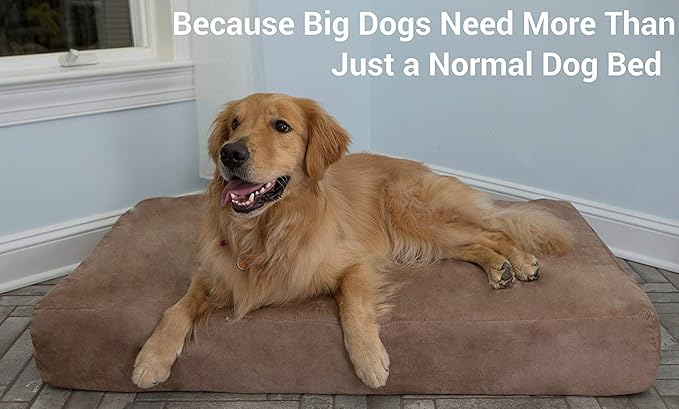 Barker Beds Giant Orthopedic Dog Bed - 7" Memory Foam Mattress - 100-300 lbs - Joint Pain & Arthritis Support - Vet Recommended, Washable Cover - Made in USA - 60"x48"x7" - Charcoal
