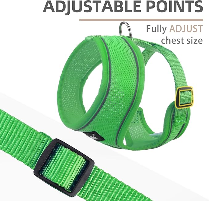 PUPTECK Soft Mesh Dog Harness and Leash Set Pet Puppy Cat Comfort Padded Vest No Pull Harnesses, Solid Green, M