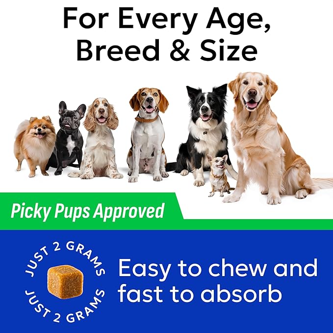 BARK&SPARK Green Grass Chews - Dog Pee Grass Spot Saver Caused by Dog Urine - Urine Neutralizer for Lawn, Gut Health Probiotics & Enzymes, Lawn Burn from Pee, Grass Burn Spot Chews Rocks