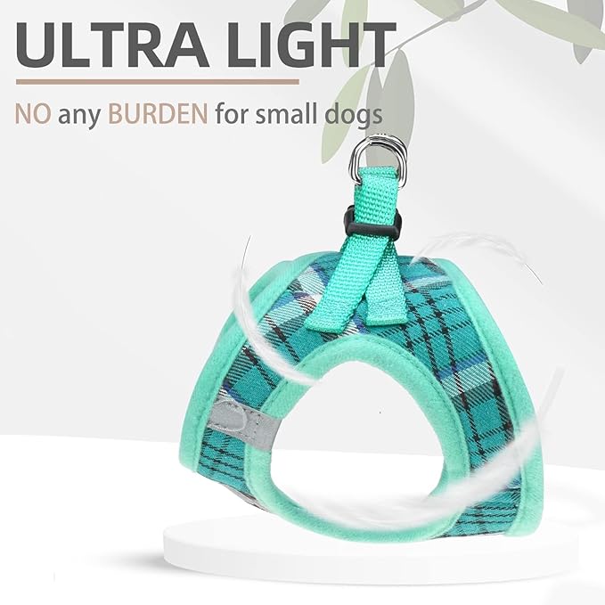 PUPTECK Adjustable Dog Harness Collar and Leash Set Step in No Pull Pet Harness for Small Medium Dogs Puppy and Cats Outdoor Walking Running, Soft Mesh Padded Reflective Vest Harnesses, Lake Green M