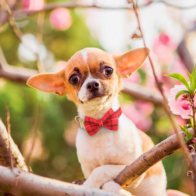 Beirui Cute Extra Small Dog Harness Collar and Leash Set with Bowtie, Soft Adjustable Plaid Puppy Harness for Small Sized Dogs Cats Walks Parties and Photoshoots(Red,XXS:Chest 12-14")