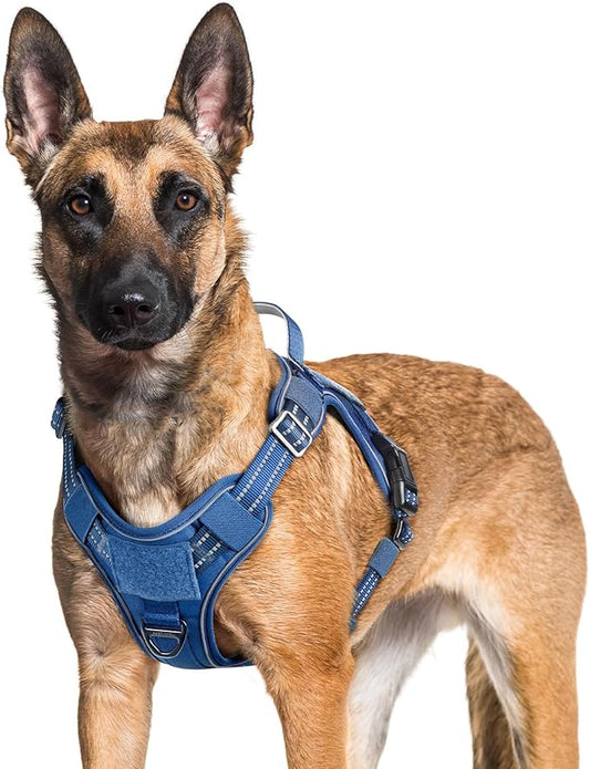 rabbitgoo Dog Harness for Large Dogs No Pull, Tactical Service Pet Vest with Molle and Control Handle, Adjustable and Reflective Military Harness for Easy Walking and Training, Blue, XL