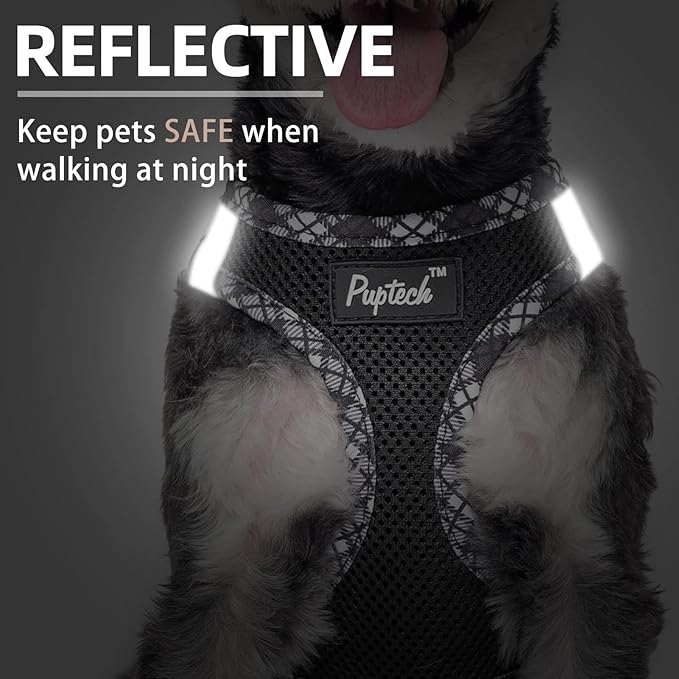 PUPTECK Dog Harness and Leash Set for Small Medium Dogs No Pull Step-in Soft Mesh Puppy Cat Vest Harnesses Reflective at Night, Black M