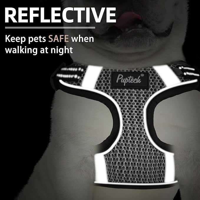 PUPTECK Dog Harness and Leash Set Small Sized, Step in No Pull Adjustable Puppy Cat Harness Reflective Pet Vest