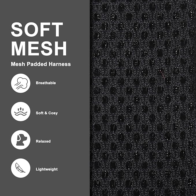 EXPAWLORER Classic Plaid Puppy Harness - Dog Collar and Leash - Soft Mesh Padded Adjustable Step in Small Dog Vest Harness No Pull, Reflective Escape Proof for Outdoor Walking, Black M