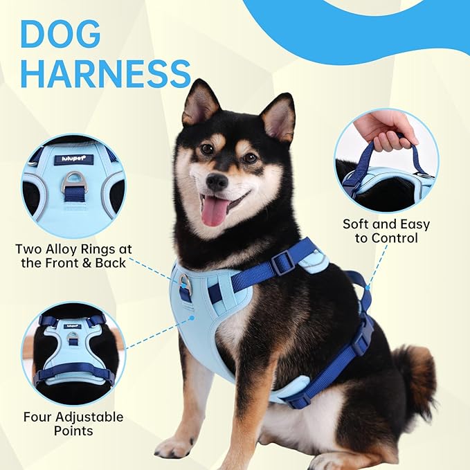 No Pull Dog Harness Leash and Collar Set, Soft Adjustable Dogs Vest Reflective and Comfortable Handle Blue X-Large