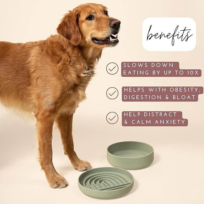 Should We Go? Slow Feeder for Dogs & Puppies, The Slowdown Bowl Silicone Slow Eating, Modern Lick Mat Design, Reduces Gulping, Fits 2.5 Cups, 9.5” Across x 1.5” Tall, Mealtime Challenge, Large-Sage