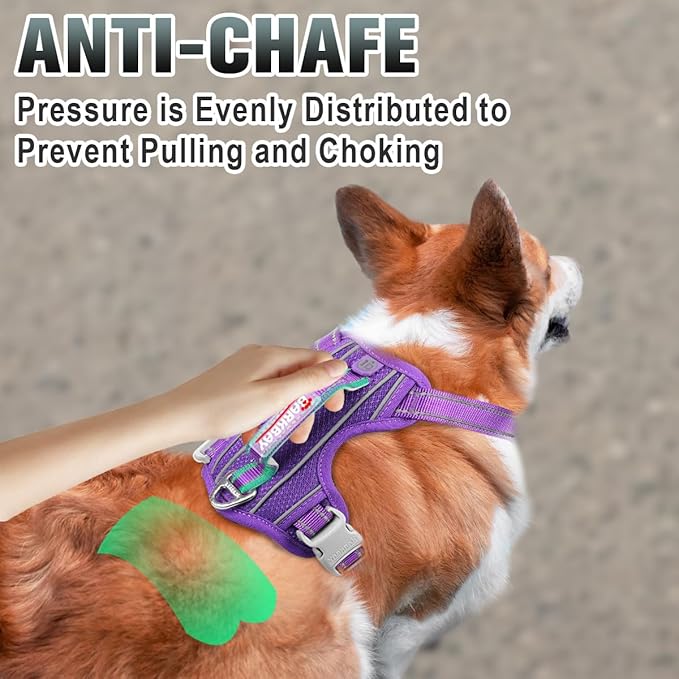 BARKBAY No Pull Dog Harness Large Reflective Dog Harness with Front Clip and Easy Control Handle for Walking Training Running with ID tag Pocket(Purple,XS)