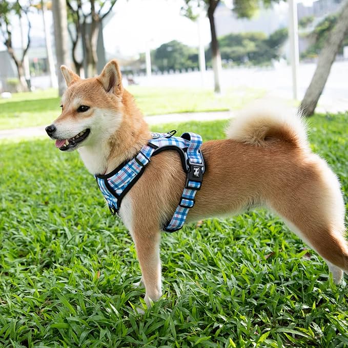 PoyPet No Pull Dog Harness, [Release at Neck] Reflective Adjustable No Choke Pet Vest with Front & Back 2 Leash Attachments(Checkered Blue,XS)