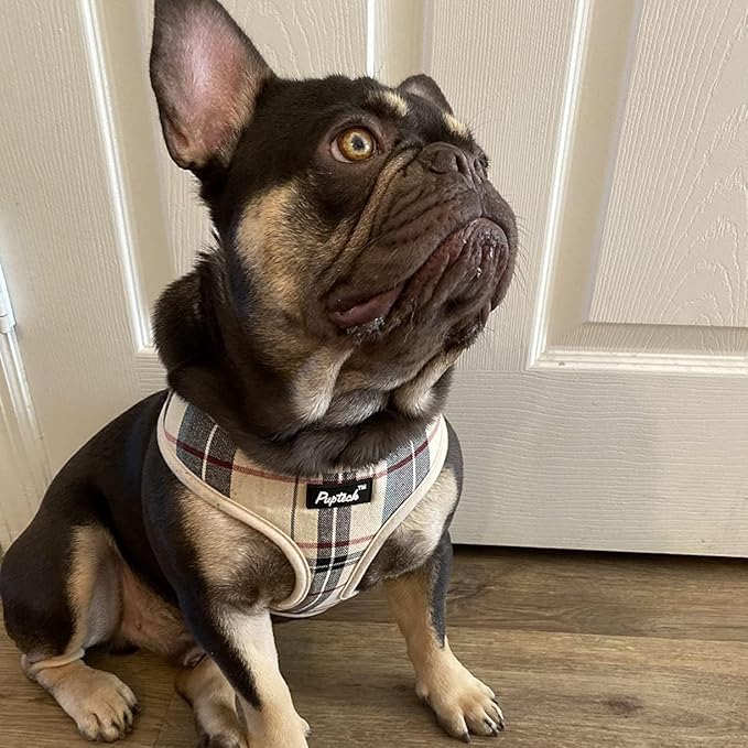 PUPTECK Soft Mesh Dog Harness and Leash Set Pet Puppy Cat Comfort Padded Vest No Pull Harnesses, Beige, L