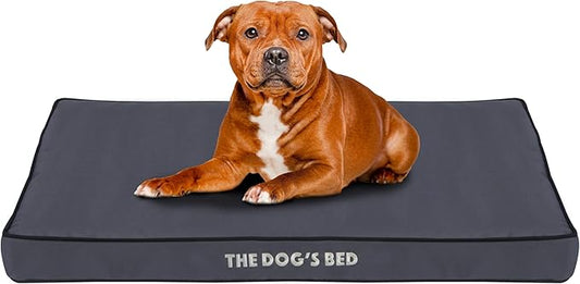 The Dog’s Bed Orthopedic Dog Bed, Large Grey with Black Trim, Waterproof, Supportive Dog Bed with Washable Replaceable Covers,Veterinary Approved
