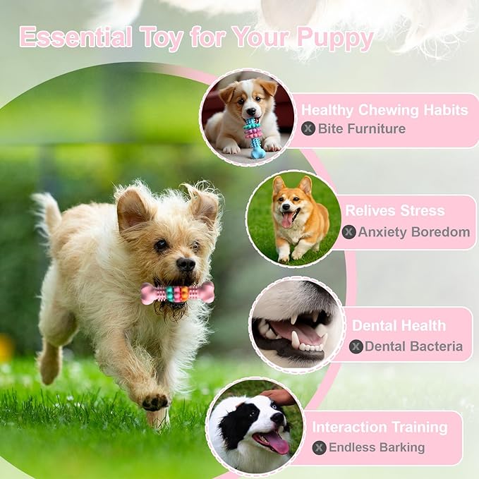 Puppy Chew Toys for Teething, Indestructible Dog Chew Toys for Aggressive Chewers - Small & Medium Breeds, Tough Rubber Bone Puppy Toys to Keep Them Busy & Relieve Anxiety