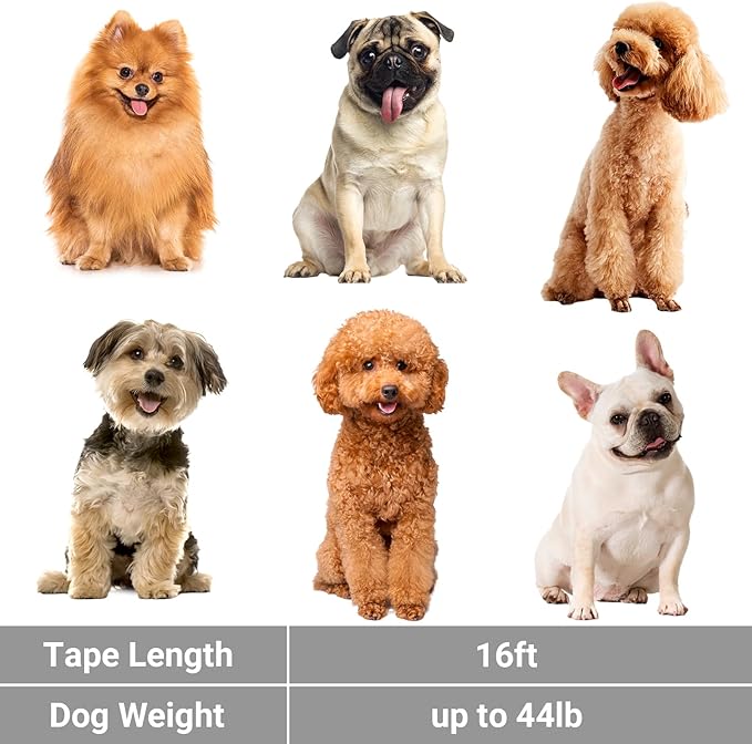 Segarty Retractable Dog Leash, 16ft Heavy Duty Walking Dog Leash for Medium Small Dogs up to 44lb, Anti-Slip Handle 360°Tangle-Free Nylon Tape, One-Handed One Button Lock and Release (Gray)