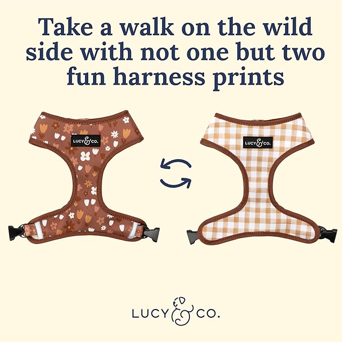 Lucy & Co. Cute Reversible Dog Harness Walking Halter - Best Designer Pet Harnesses for XS - XL Dogs - Padded Adjustable Vest for Easy Walking (X-Small, Chocolate Meadows - Brown & White Floral)
