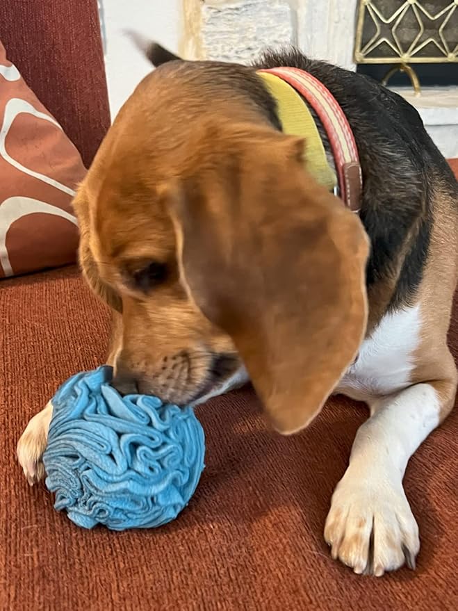 Glory To Dog Puppy and Small Breed Snuffle Interactive Foraging Dog Puzzle Ball Toy Blue