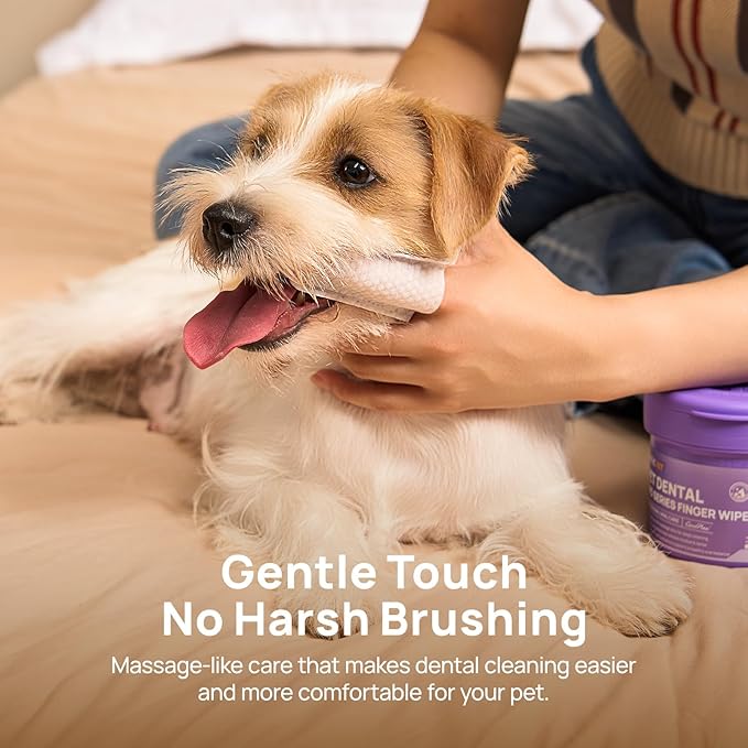 HICC PET Pro Dog Teeth Cleaning Wipes, Vet-Recommended Finger Toothbrush for Dogs & Cats, No-Rinse Dental Care Wipes, Gentle Cleansing & Gum Care, Tooth Brushing Kit Support, 50 Count (Peanut Butter)