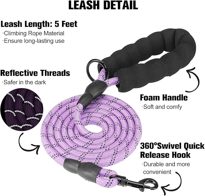 BEAUTYZOO Dog Harness and Leash Set for Small Dogs,No Pull Step-in Harness for Puppy XS S Sized Dogs and Cats,Air Mesh Adjustable Breathable Soft No Choke Escape Proof Vest Harness,Striped Purple XXS