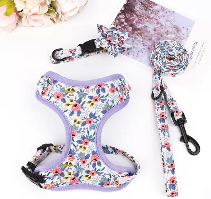 Beirui Cute Girl Dog Collars, Harnesses & Leashes Set - Adjustable Dog Collar and Leash Set with Flower - Soft Mesh Dog Vest Harness for Puppies Small & Extra Small Dogs Cats (Blue,XXS)