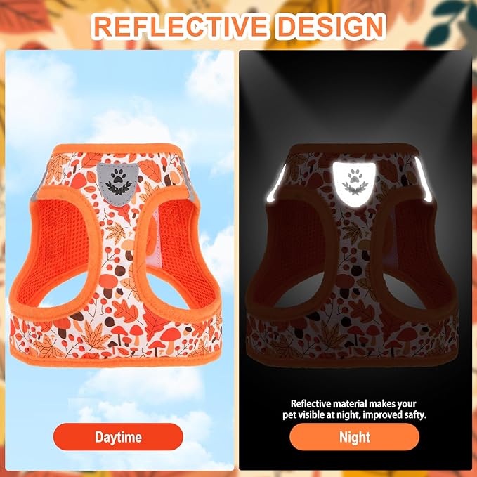 EXPAWLORER Thanksgiving Autumn Puppy Harness - Dog Collar and Leash - Soft Mesh Padded Adjustable Step in Small Dog Vest Harness No Pull, Reflective Escape Proof for Outdoor Walking, Orange S