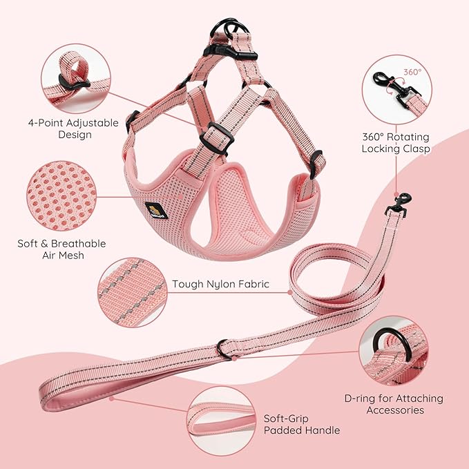 BELLA & PAL Adjustable Step-in Dog Harness, Puppy No-Pull Vest with Leash Set for XS/Small & Medium Dog, Breathable All-Weather Mesh, Reflective Strip, Secure Hook & Loop, Buckle Closure