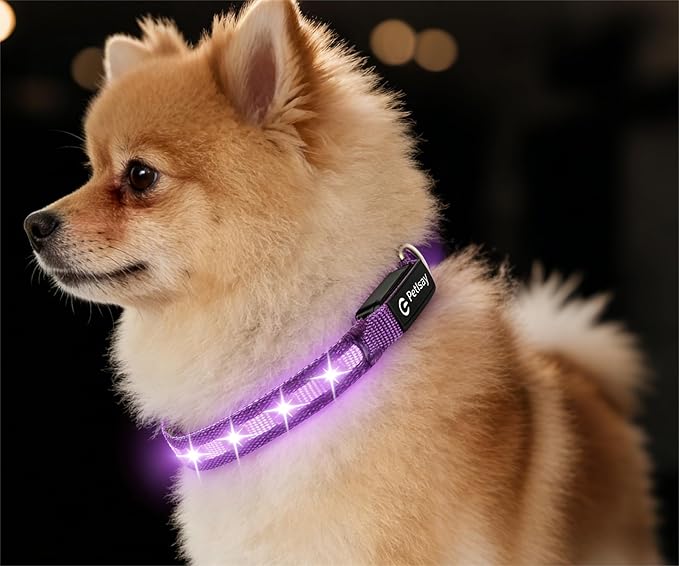 LED Dog Collar for Small Dogs Cats - Fully Waterproof & Adjustable Glow Collar - USB-C Rechargeable for Night Walking, Safety - Flashing Lighted Collar for Dogs(Purple,S)