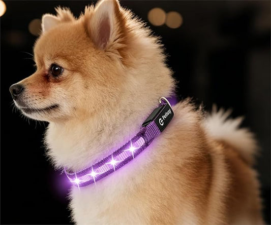LED Dog Collar for Small Dogs Cats - Fully Waterproof & Adjustable Glow Collar - USB-C Rechargeable for Night Walking, Safety - Flashing Lighted Collar for Dogs(Purple,S)