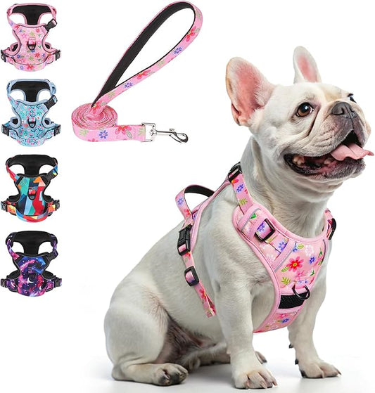 BEAUTYZOO No Pull Dog Harness and Leash Set with 2 Metal Leash Clips - Overhead-Free 3 Snap Buckles Design, Adjustable No-Choke Soft Padded Reflective Oxford Pet Vest for Small Medium Large Dogs, Pink