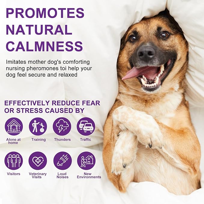 Cheerdog Dog Calming Pheromone Diffuser, Pet Calming Diffuser for Dog Anxiety Relief 3 Refills,Relieve Separation Anxiety, Stress Barking and Chewing Calm Relaxing (3)