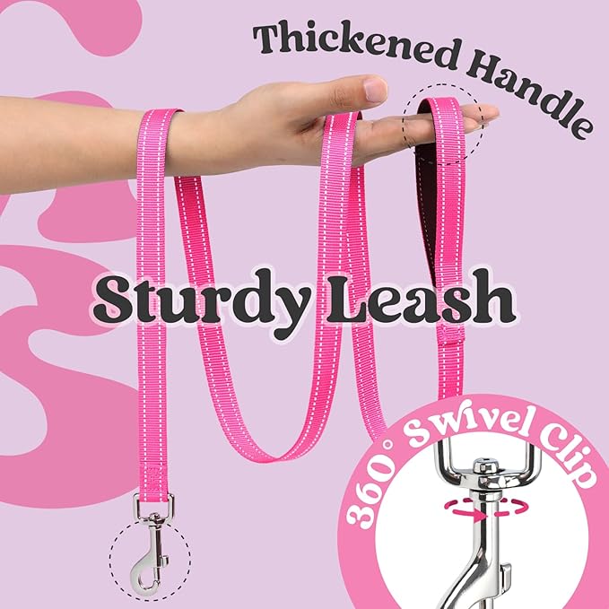 rabbitgoo Dog Harness Small Sized and Leash Set, Step-in Breathable Pet Harness, Soft Walking Reflective Puppy Vest for Small Dogs, Black & Rose Red, XXS