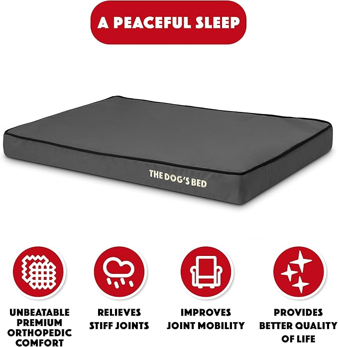The Dog’s Bed Orthopedic Memory Foam Dog Bed, Medium Grey & Black, Waterproof, Supportive Dog Bed with Replaceable Covers, Veterinary Approved
