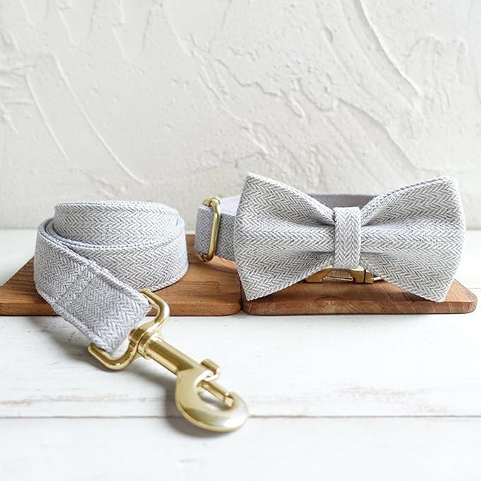 Polyester Personalized Dog Collar with Name and Phone Number, Customizable Laser-Engraved Collar with Metal Quick Release Buckle for Dogs (WhiteSmoke)