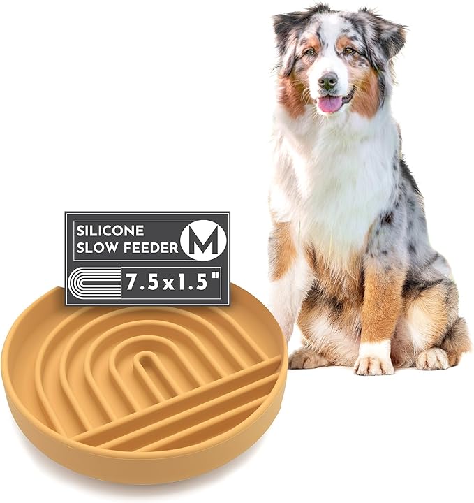 Should We Go? Slow Feeder for Dogs & Puppies, The Slowdown Bowl Silicone Slow Eating, Modern Lick Mat Design, Reduces Gulping, Fits 2 Cups, 7.5” Across x 1.5” Tall, Mealtime Challenge, Medium-Honey