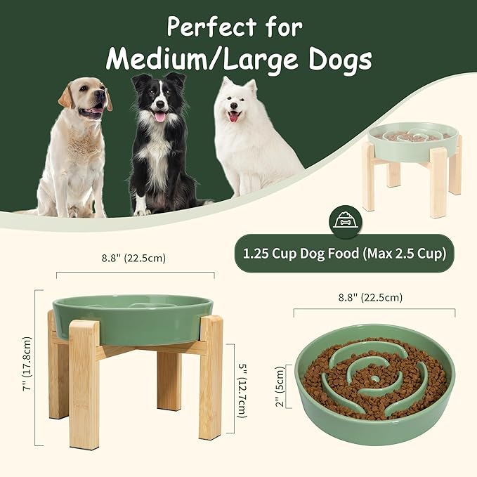 Elevated Slow Feeder Dog Bowl - Puzzle Maze Dish with Bamboo Stand - Raised Ceramic Food Bowl for Medium and Large Dogs - Green - 8.8 inch