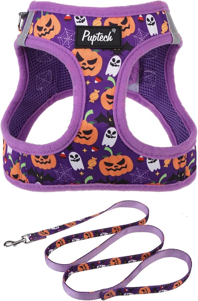 PUPTECK Dog Harness and Leash Set for Small Medium Dogs No Pull Step-in Soft Mesh Puppy Cat Vest Harnesses Reflective at Night, Halloween Purple, M