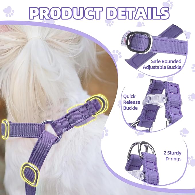 PUPTECK Dog Harness and Leash Set Small Sized, Step-in Cute Puppy Harness, Soft Lightweight Padded Vest, Escape Proof No Pull Pet Harnesses Easy for Walking, Flower Purple, XXS