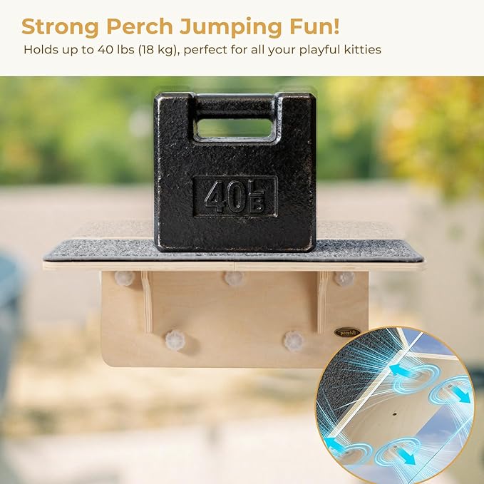 Pecute 2-in-1 Large Cat Window Perch & Wall Shelves, Cat Hammock Window with Solid Wood, Strong Suction Cup, Washable Cover Mat, Window seat Indoor, Cats Perch Bed for Birds Watching Inside, 21"x11"