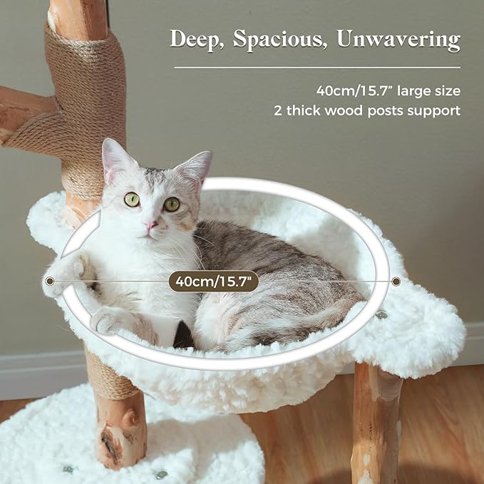 PAWZ Road Cat Tree for Indoor Cats Large Adults, 59 Inches Modern Cat Tower with Large Basket and Hammock, Natural Solid Wood, Luxury Condo & Dual Perches, Modern Cat Furniture for Big Cats, White