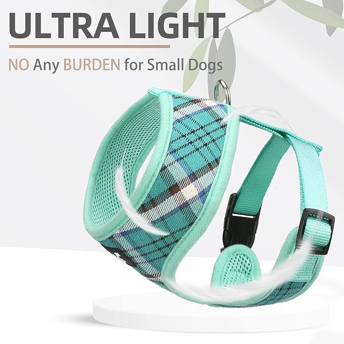 PUPTECK Soft Mesh Dog Harness and Leash Set Pet Puppy Cat Comfort Padded Vest No Pull Harnesses, Green, S