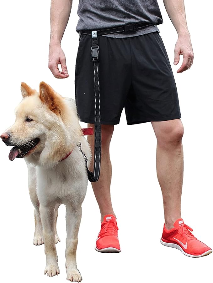 Caldwell's Pet Supply Co. Hands-Free Dog Leash, Adjustable Waist Leash for Dog Walking, Non-Bungee, Hands Free Harness, Durable and Versatile Waist Belt Leashes, Cross Body for Dogs (26" - 47")