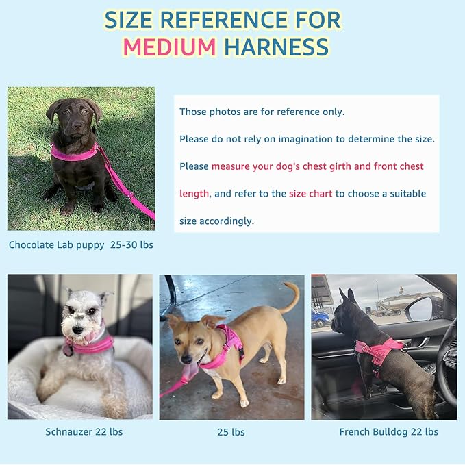 SlowTon No Pull Small Dog Harness and Leash Set, Puppy Soft Vest Harness Neck & Chest Adjustable, Reflective Lightweight Harness & Anti-Twist Pet Lead Combo for Small Medium Dogs (FU, M)