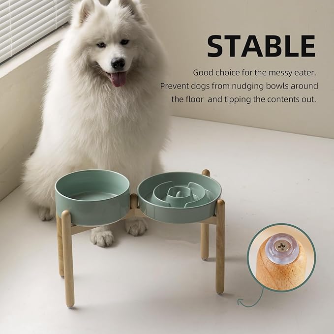 3.2 Cup Ceramic Raised Slow Feeder Dog Bowl Set, Elevated 8.2inch Bowl and 9.5inch Puzzle Slow Food Dish with Wooden Stand for Large Dog, Anti-Gulping (2 x Light Green+ Stand)
