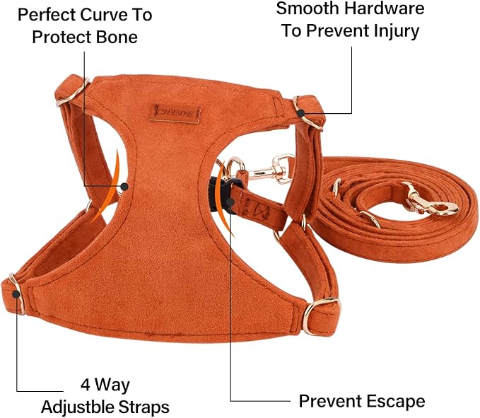 CHEDE No Pull Puppy Harness and Multifunction Dog Leash Set- 8 Colors Soft Adjustable No Choke Escape Proof Cute,Lightweight Pet Vest Harness for Small and Medium Dog (M, Khaki)